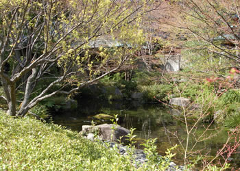 防府天満宮　芳松庵の庭園