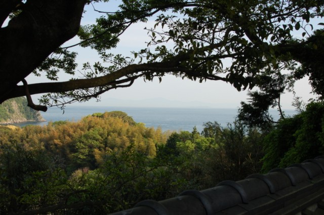 浄西寺からの眺望