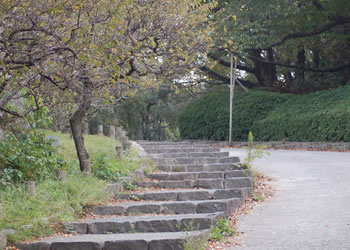 福岡城跡