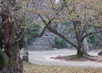 福岡城跡