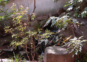 防府天満宮　芳松庵の庭園