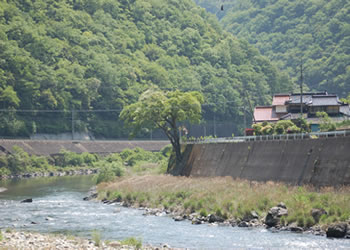 見返りの榎