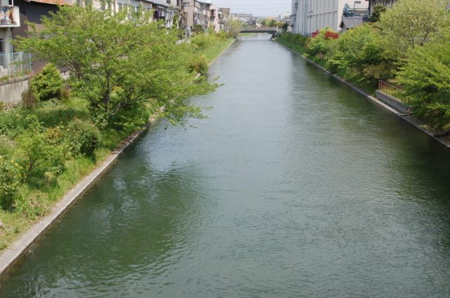 坂本龍馬　避難の材木小屋跡そばの川