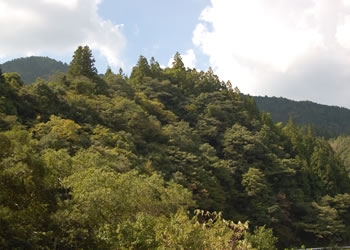 坂本龍馬脱藩の道 梼原
