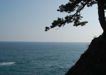 坂本龍馬 桂浜