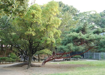 土佐 山内容堂公邸跡