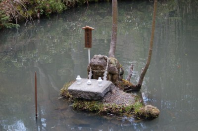 象山神社　無事カエル