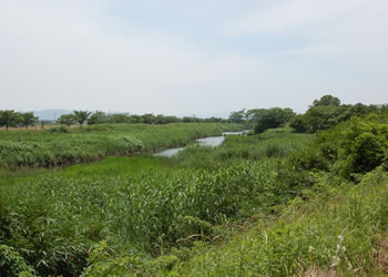 四時軒付近の風景