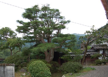 吉村寅太郎誕生地