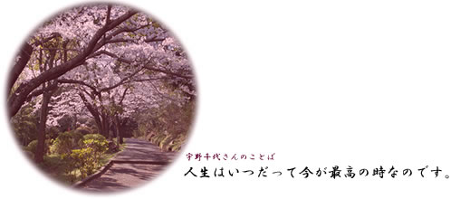 宇野千代さんの大好きな桜